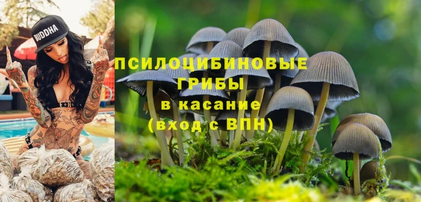 соль ск Покров