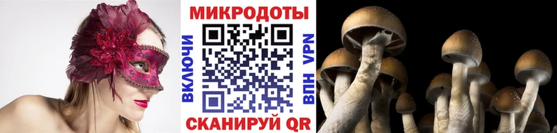 Псилоцибиновые грибы Psilocybine cubensis Покачи