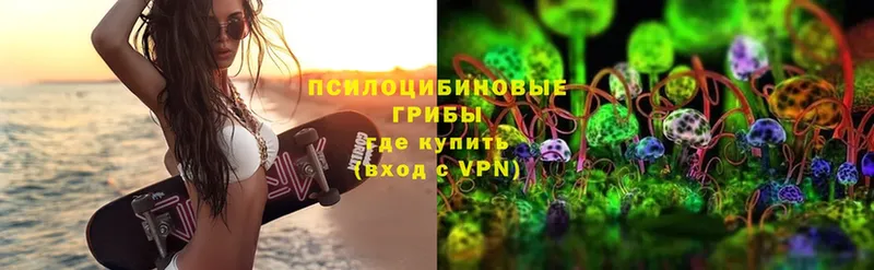 Галлюциногенные грибы Psilocybine cubensis Покачи